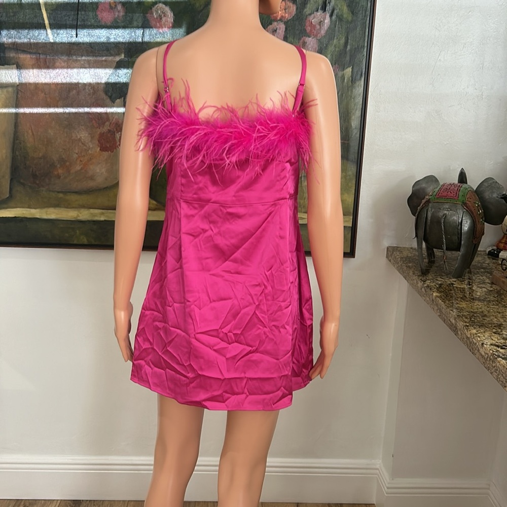 NEW White Fox Boutique pink dress with feather trim - Picture 7 of 11